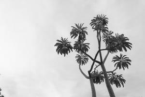 DSCF5142