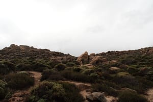 DSCF8299